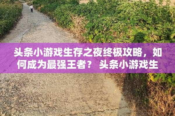 头条小游戏生存之夜终极攻略，如何成为最强王者？ 头条小游戏生存之夜攻略