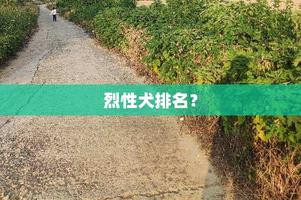 烈性犬排名？
