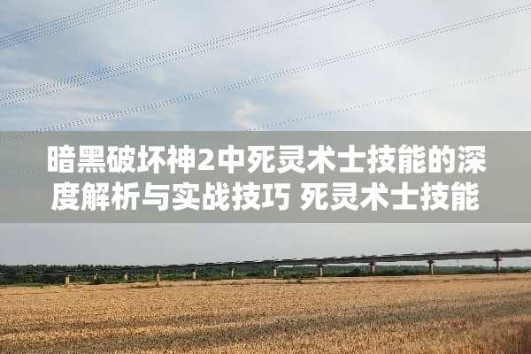 暗黑破坏神2中死灵术士技能的深度解析与实战技巧 死灵术士技能