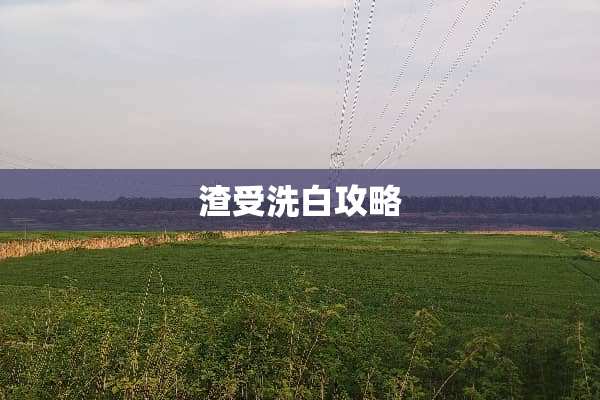 渣受洗白攻略