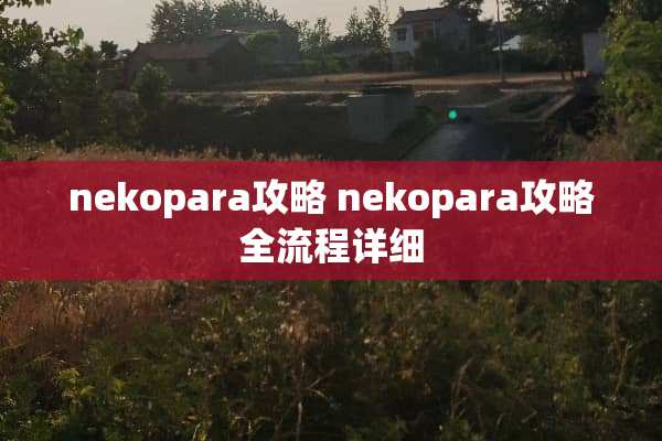 nekopara攻略 nekopara攻略全流程详细