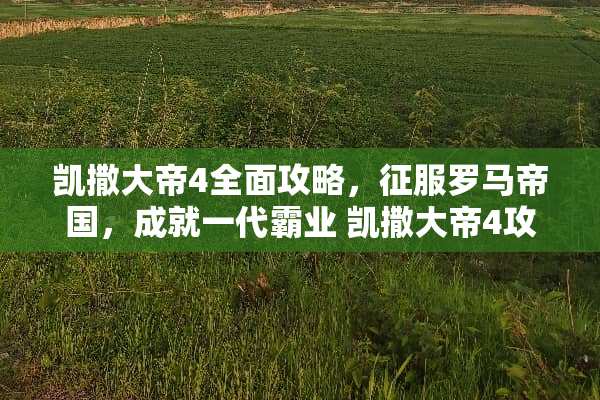 凯撒大帝4全面攻略，征服罗马帝国，成就一代霸业 凯撒大帝4攻略