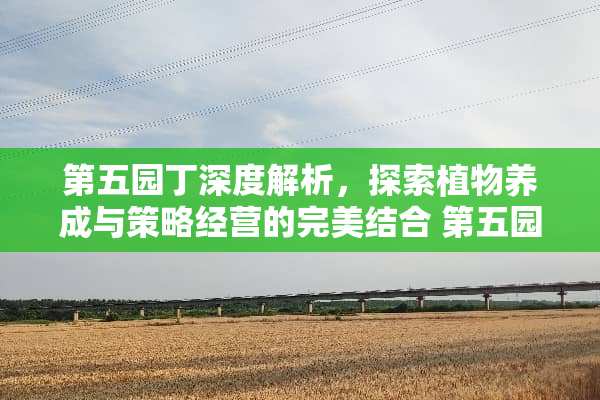 第五园丁深度解析，探索植物养成与策略经营的完美结合 第五园丁玩法