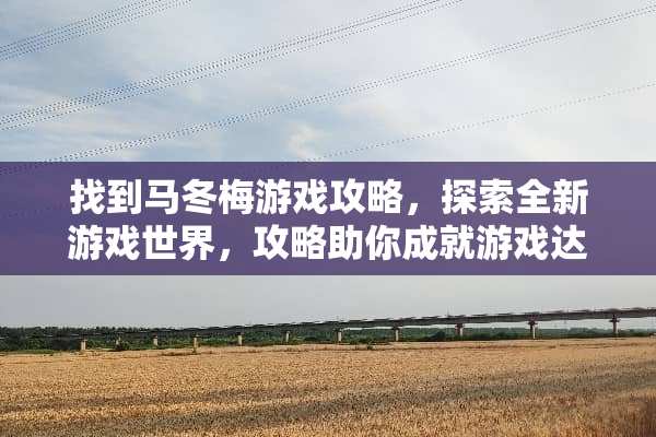 找到马冬梅游戏攻略，探索全新游戏世界，攻略助你成就游戏达人 找到马冬梅游戏所有攻略