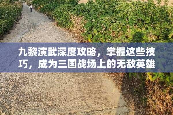 九黎演武深度攻略，掌握这些技巧，成为三国战场上的无敌英雄 九黎演武攻略