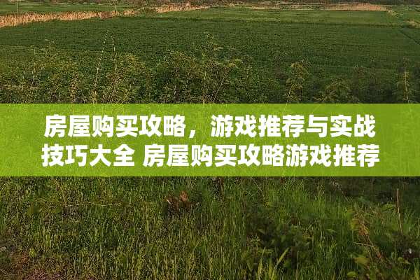 房屋购买攻略，游戏推荐与实战技巧大全 房屋购买攻略游戏推荐