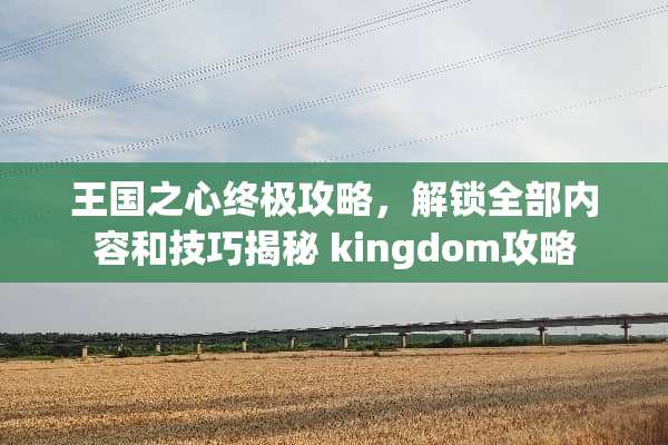 王国之心终极攻略，解锁全部内容和技巧揭秘 kingdom攻略