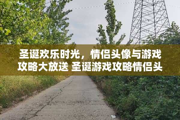 圣诞欢乐时光，情侣头像与游戏攻略大放送 圣诞游戏攻略情侣头像