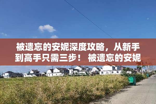 被遗忘的安妮深度攻略，从新手到高手只需三步！ 被遗忘的安妮攻略