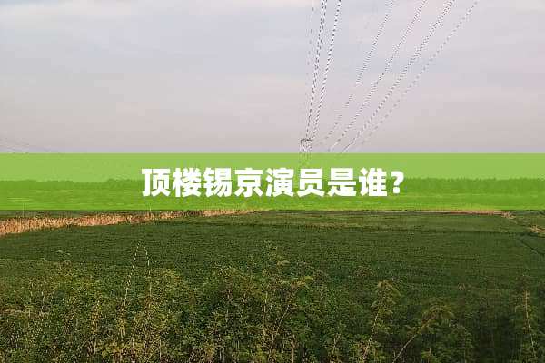 顶楼锡京演员是谁？