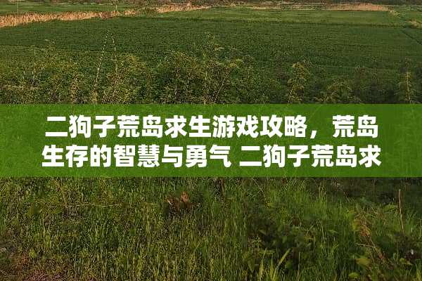 二狗子荒岛求生游戏攻略，荒岛生存的智慧与勇气 二狗子荒岛求生游戏攻略