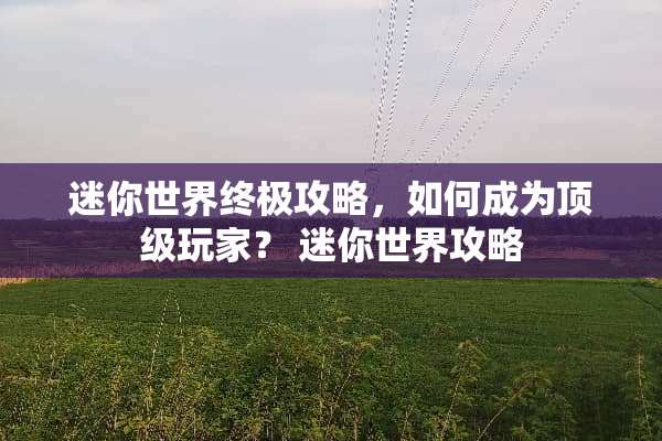 迷你世界终极攻略，如何成为**玩家？ 迷你世界攻略