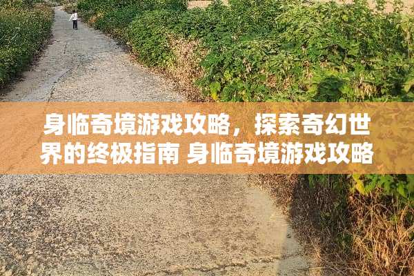身临奇境游戏攻略，探索奇幻世界的终极指南 身临奇境游戏攻略