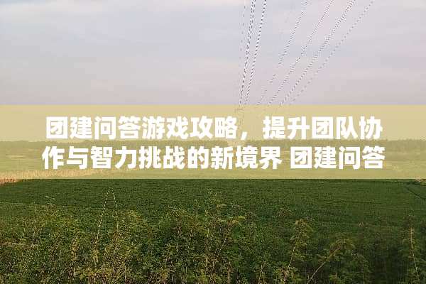团建问答游戏攻略，提升团队协作与智力挑战的新境界 团建问答游戏攻略
