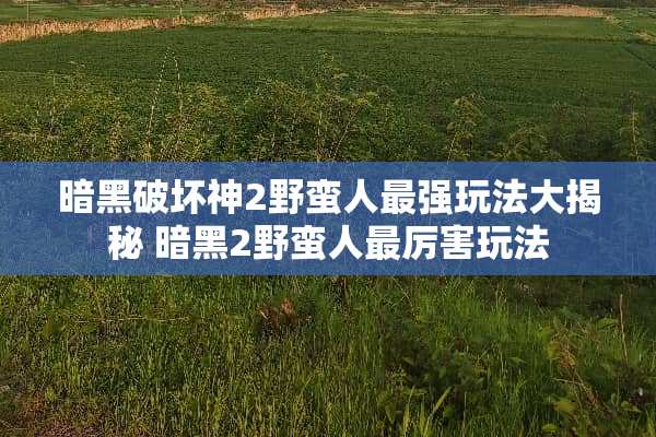 暗黑破坏神2野蛮人最强玩法大揭秘 暗黑2野蛮人最厉害玩法