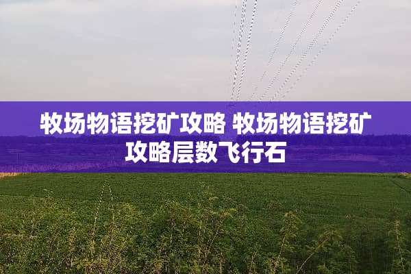 牧场物语挖矿攻略 牧场物语挖矿攻略层数飞行石
