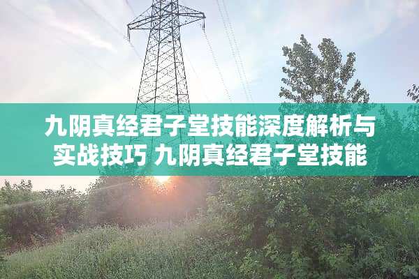 九*真经君子堂技能深度解析与实战技巧 九*真经君子堂技能