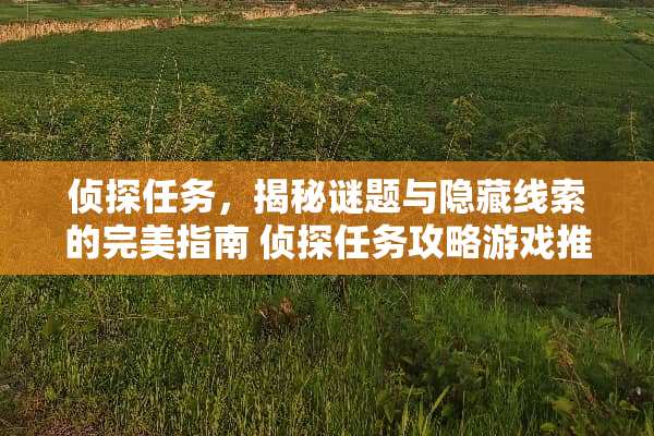 侦探任务，揭秘谜题与隐藏线索的完美指南 侦探任务攻略游戏推荐