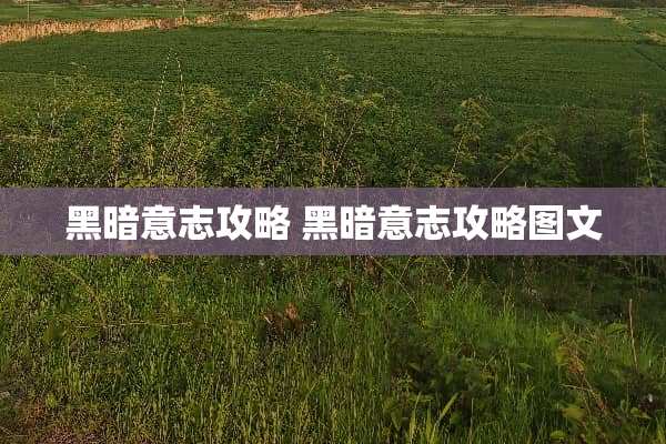 黑暗意志攻略 黑暗意志攻略图文