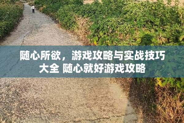 随心所欲，游戏攻略与实战技巧大全 随心就好游戏攻略