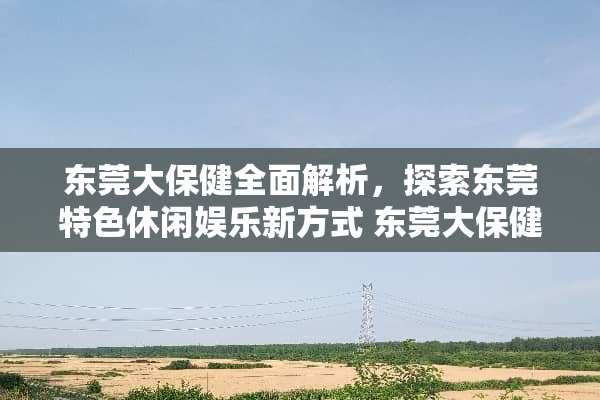 东莞大保健全面解析，探索东莞特色休闲娱乐新方式 东莞大保健有哪些玩法