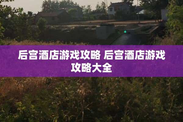 后宫酒店游戏攻略 后宫酒店游戏攻略大全