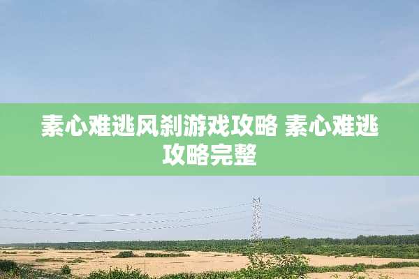 素心难逃风刹游戏攻略 素心难逃攻略完整