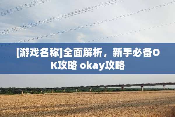 [游戏名称]全面解析，新手必备OK攻略 okay攻略