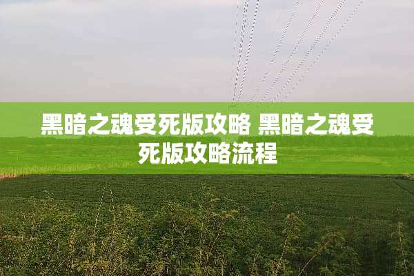 黑暗之魂受死版攻略 黑暗之魂受死版攻略流程