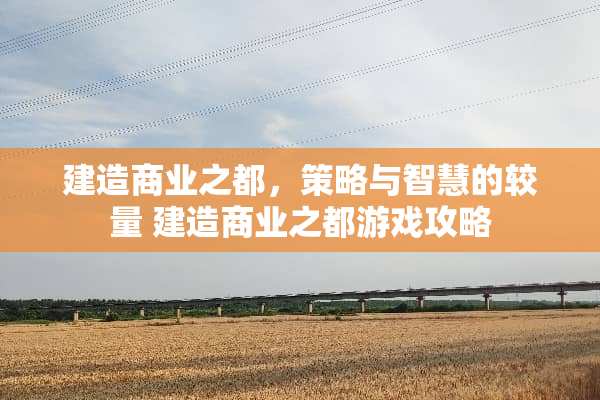 建造商业之都，策略与智慧的较量 建造商业之都游戏攻略