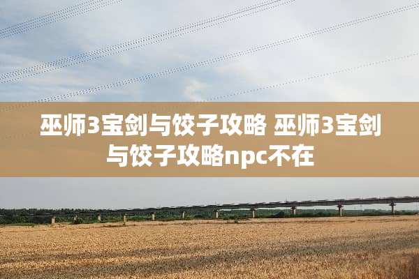 巫师3宝剑与饺子攻略 巫师3宝剑与饺子攻略npc不在