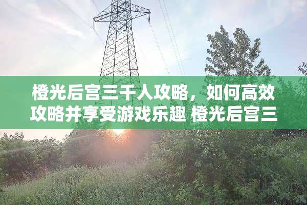 橙光后宫三千人攻略，如何高效攻略并享受游戏乐趣 橙光后宫三千人攻略