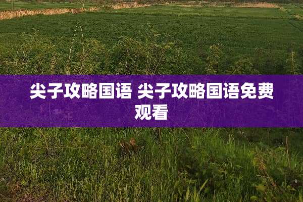 尖子攻略国语 尖子攻略国语免费观看