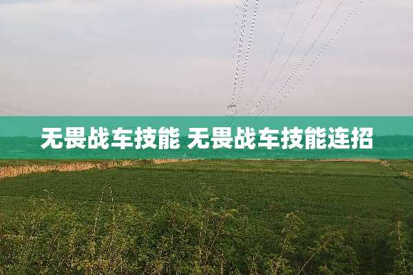 无畏战车技能 无畏战车技能连招