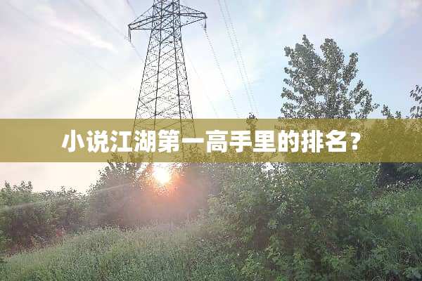 小说江湖第一高手里的排名？