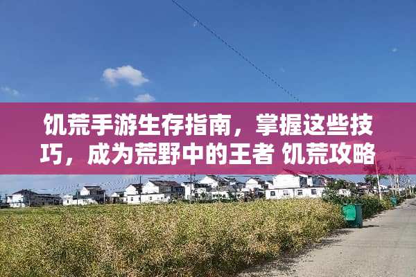 饥荒手游生存指南，掌握这些技巧，成为荒野中的王者 饥荒攻略手机版