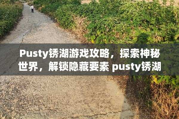 Pusty锈湖游戏攻略，探索神秘世界，解锁隐藏要素 pusty锈湖游戏攻略