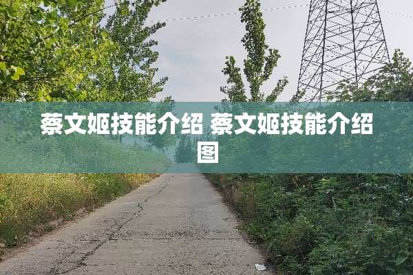 蔡文姬技能介绍 蔡文姬技能介绍图