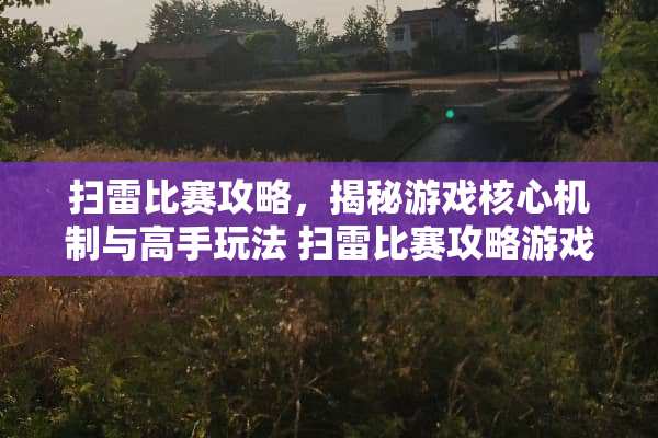 扫雷比赛攻略，揭秘游戏核心机制与高手玩法 扫雷比赛攻略游戏推荐