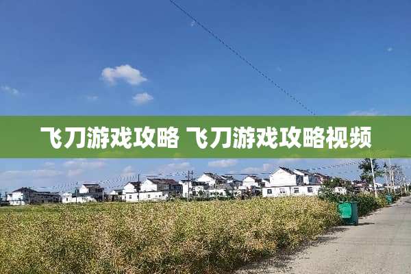 飞刀游戏攻略 飞刀游戏攻略视频