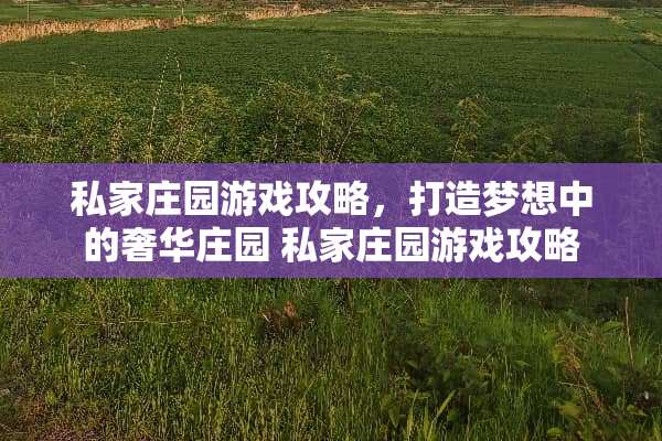 私家庄园游戏攻略，打造梦想中的奢华庄园 私家庄园游戏攻略