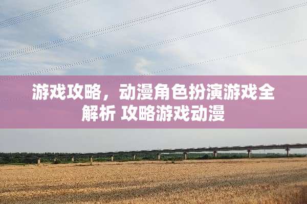 游戏攻略，动漫角色扮演游戏全解析 攻略游戏动漫