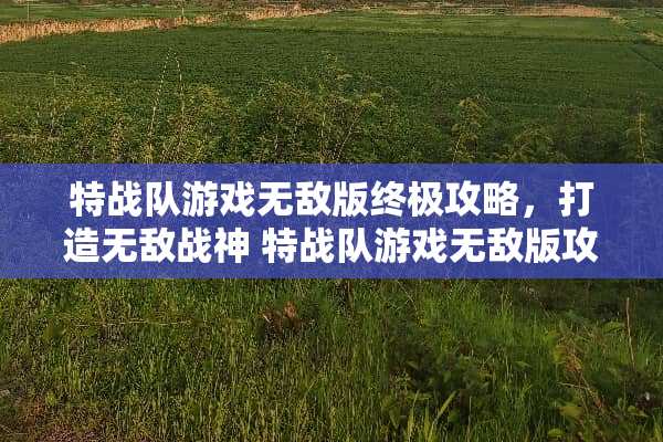 特战队游戏无敌版终极攻略，打造无敌战神 特战队游戏无敌版攻略