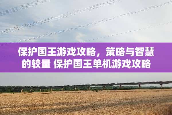 保护国王游戏攻略，策略与智慧的较量 保护国王单机游戏攻略