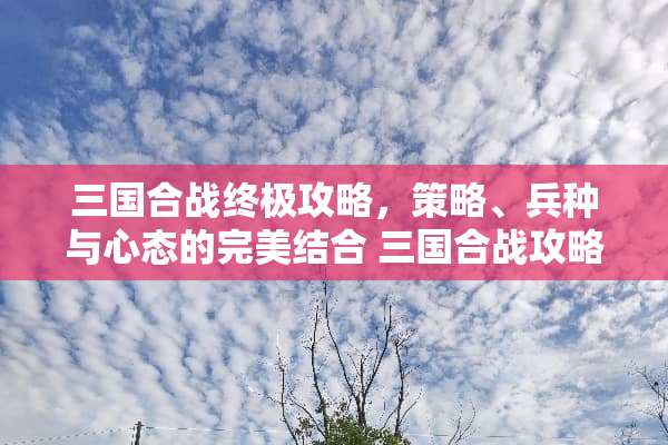 三国合战终极攻略，策略、兵种与心态的完美结合 三国合战攻略