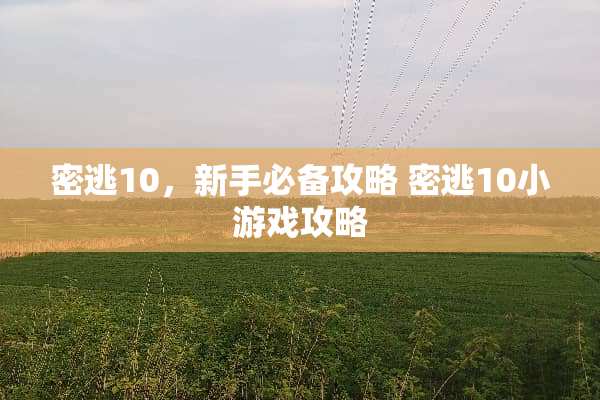 密逃10，新手必备攻略 密逃10小游戏攻略