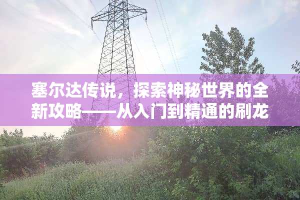 塞尔达传说，探索神秘世界的全新攻略——从入门到精通的刷龙技巧 塞尔达传说游戏攻略刷龙