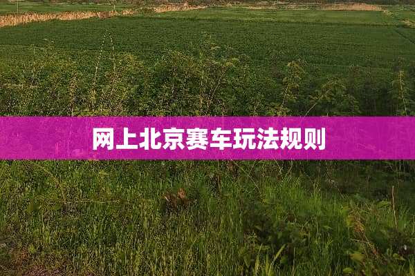 网上北京赛车玩法规则