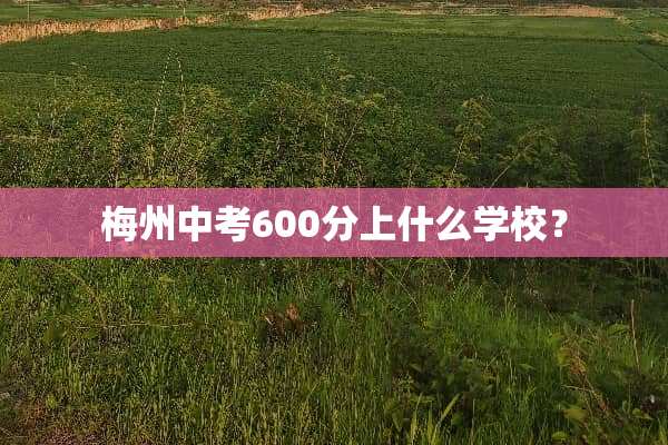 梅州中考600分上什么学校？
