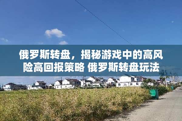俄罗斯转盘，揭秘游戏中的高风险高回报策略 俄罗斯转盘玩法